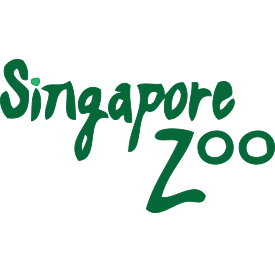 kiosk stand singapore singapore zoo kiosk stand jolynang kiosk stand singapore singapore zoo kiosk stand jolynang